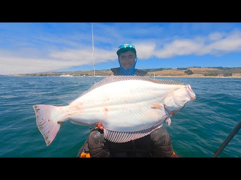 Видео: Рыбалка на большом калифорнийском палтусе с каяка на удаленном пляже