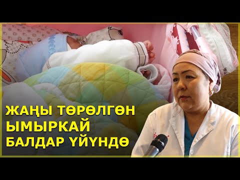 Видео: Жаңы төрөлгөн ымыркай да балдар үйүндө....