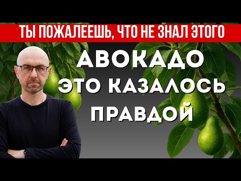 Видео: Скрытая правда об Авокадо: многие пожалеют, что не знали раньше. Факты, о которых все молчат.