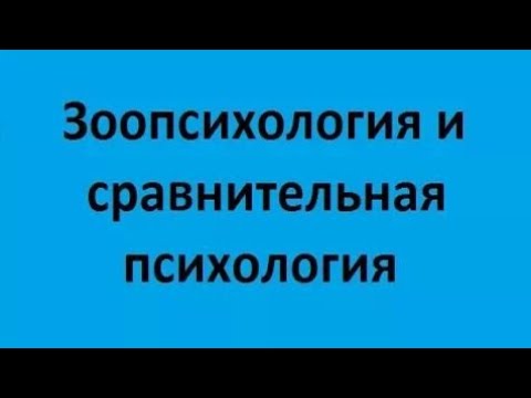 Видео: Зоопсихология и сравнительная психология