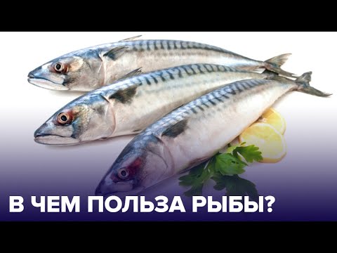 Видео: 5 причин есть РЫБУ 5 раз в неделю!