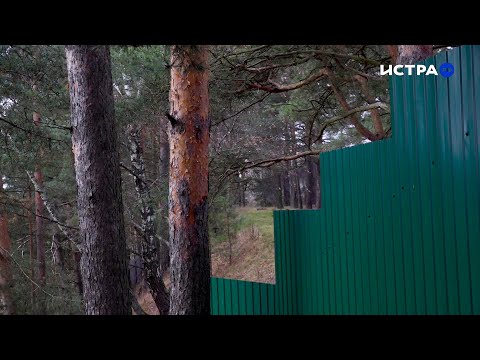 Видео: В лужках попытались захватить мемориальный сосновый бор. Не получилось