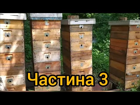 Видео: Утримання бджіл на 145 системі ( 8 рамок) - Частина 3