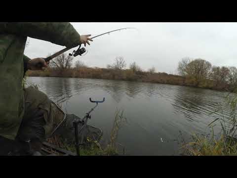 Видео: Рыбалка на фидер поздней осенью на реке Упе в Тульской области
