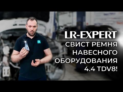 Видео: Свист ремня привода навесного оборудования Range Rover 4 4 TDV8 (Менять ли кронштейн генератора)!