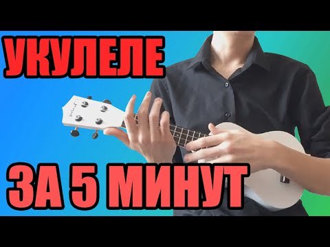 Видео: Как научиться играть на укулеле ЗА 5 МИНУТ