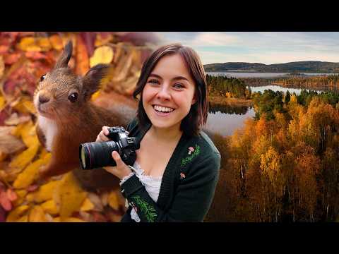 Видео: Почувствуйте магию осени! — Simple Life Northern Sweden