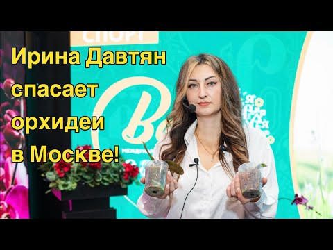 Видео: Ирина Давтян // пересадка орхидеи