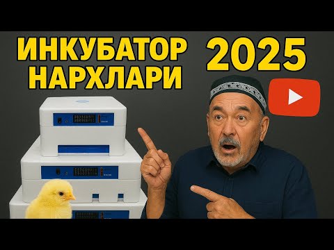 Видео: ИНКУБАТОР НАРХЛАРИ 2025 🐣 | ҚАНДАЙ ИШЛАТИЛАДИ? | ТО‘ЛИҚ ТАҲЛИЛ ВА АМАЛИЙ КЎРСАТМА!