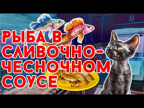 Видео: Рыба в сливочно-чесночном соусе. Очень вкусное блюдо.