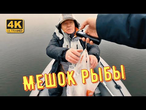 Видео: Мешок рыбы для друга. Рыбалка осенью 2022