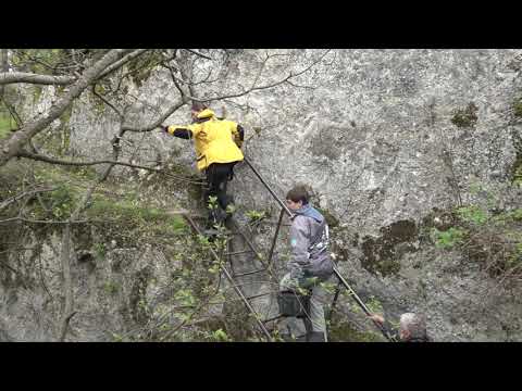 Видео: Древние крепости Грузии