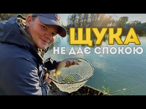 Видео: ❗️ЩУКА НЕ ДАЄ СПОКОЮ🎣 Смачний перекус від FOOD MISSION 🍗