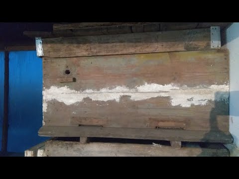 Видео: Даем второю жизнь старым ульям!