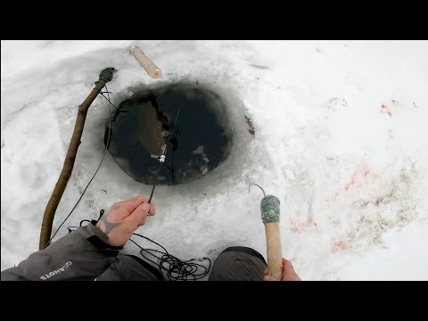 Видео: Рыбалка у чёрной дыры.Седьмая серия.