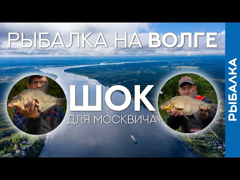 Видео: Такими снастями НЕ ЛОВЯТ в Москве! Коварные лещи и злые бровки на Волге