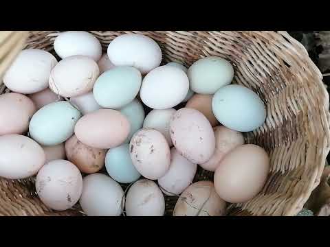 Видео: Ну Юна учудил. 😂