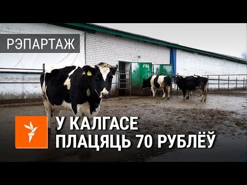 Видео: Калгас, у якім зарабляюць 70 рублёў на месяц | Колхоз, в котором зарабатывают 70 рублей в месяц