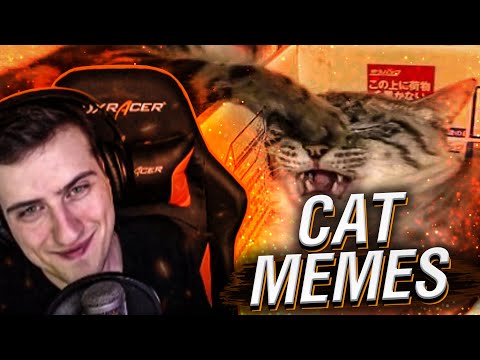 Видео: BEST CAT MEMES COMPILATION #51 // РЕАКЦИЯ HELLYEAHPLAY