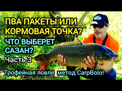 Видео: ПВА пакеты или кормовая точка? Что выберет сазан? Часть 3