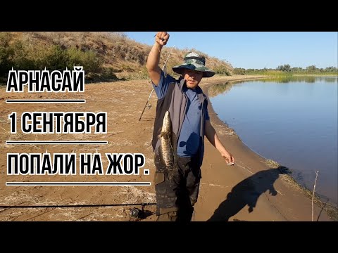 Видео: АРНАСАЙ 1-СЕНТЯБРЯ ПОПАЛИ НА ЖОР