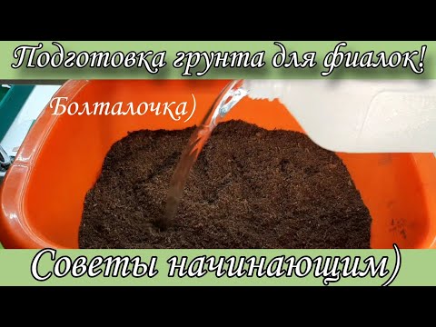 Видео: Подготовка грунта для посадки фиалок! Видео для начинающих) Показываю как я замешиваю грунт.