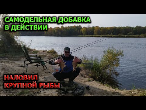 Видео: РЫБАЛКА НА ВЕТЛУГЕ В СЕНТЯБРЕ2020  ПОЙМАЛ ЧЬЮ ТО КОРМУШКУ С КРЮЧКАМИ  Ловля леща,крупной густеры,язя