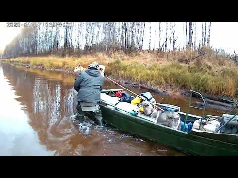 Видео: р.Сумыч. Трудная дорога на болотоходе.