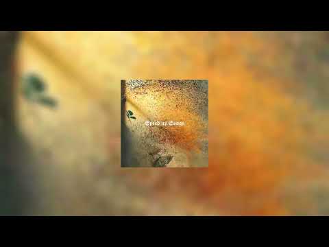 Видео: Amirhik - Весна (speed up)