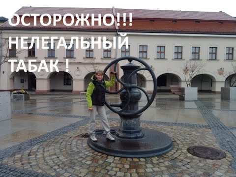 Видео: На работу в Польшу. Кельце. Дело -табак и замечательная прогулка в Kielce