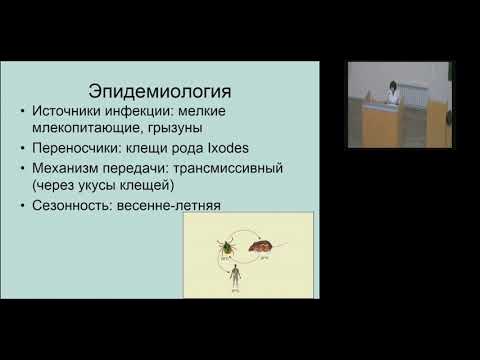 Видео: Г.Ш. Исаева. Спирохеты, часть 2. Возбудители Болезни Лайма и Лептоспироза.