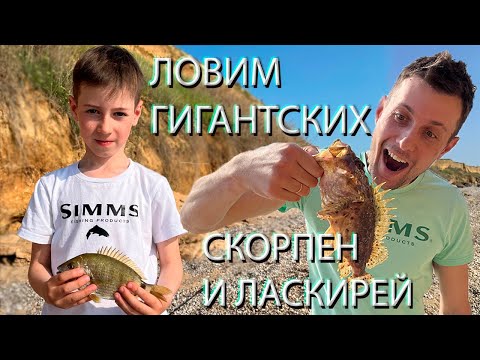 Видео: Ловим с сыном крупных СКОРПЕН И ЛАСКИРЕЙ, рыбалка в черном море.