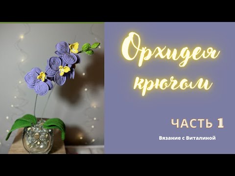 Видео: Орхидея часть 1