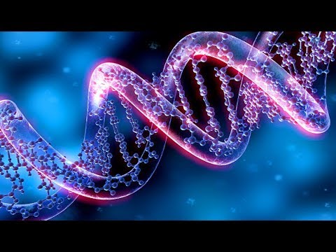 Видео: Геном (рассказывают Михаил Гельфанд, Светлана Боринская, Мария Логачёва)