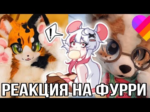 Видео: Реакция на Фурри из лайка!