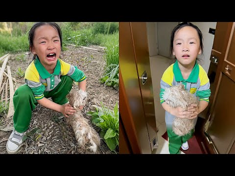 Видео: «Он не нашёл хозяина. Прошу, возьми его!» — дочь плакала и умоляла меня оставить дворнягу