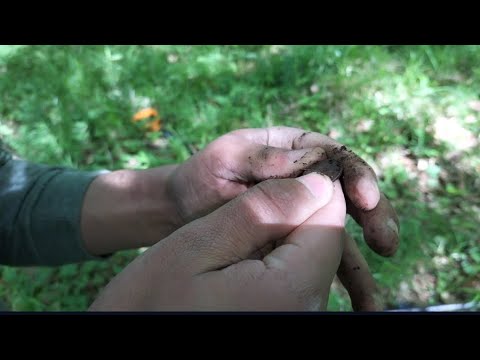 Видео: Търсим в хайдушката местност Яловата круша #3