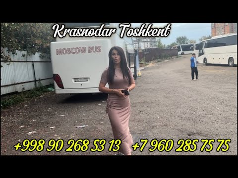 Видео: +79602857575/Krasnodar Toshkent avtobus ,Ростов Ташкент автобус,москва-ташкент автобус