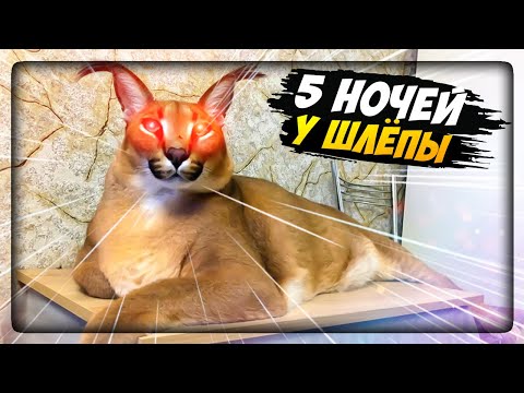 Видео: ПЯТЬ НОЧЕЙ У ШЛЁПЫ! ШЛЁПА ОБОЖАЕТ ПЕЛЬМЕШКИ! ✅ Five Nights at Floppa