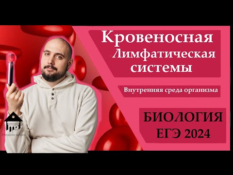 Видео: Кровь. Внутренняя среда организма для ЕГЭ 2024 |ЕГЭ БИОЛОГИЯ|Freedom|