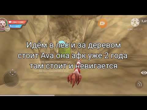 Видео: Новый миф Ava WildCraft