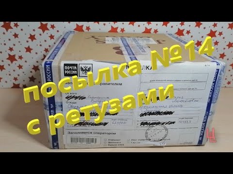 Видео: распаковка посылки №14 с фикусами микрокарпа (ретуза) пополнение коллекции
