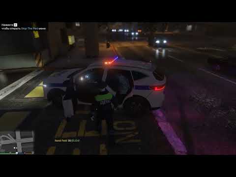Видео: ДПС GTA5 Патруль LSPDFR #5