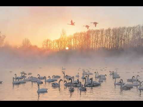 Видео: НАШ  МИР