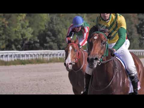 Видео: Канглы. Арсланбек Султанбеков