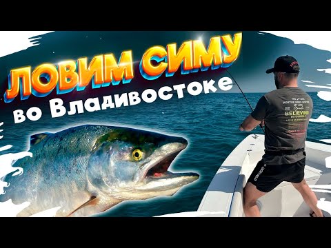 Видео: Рыбалка во Владивостоке❗️ЛОВИМ СИМУ❗️ТРОЛЛИНГ❗️КРАСНАЯ РЫБА❗️