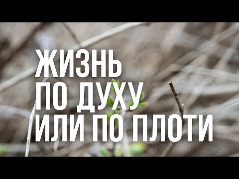 Видео: Жизнь по Духу или по плоти | Рим.8:4-8 | Александр Семиуглов 