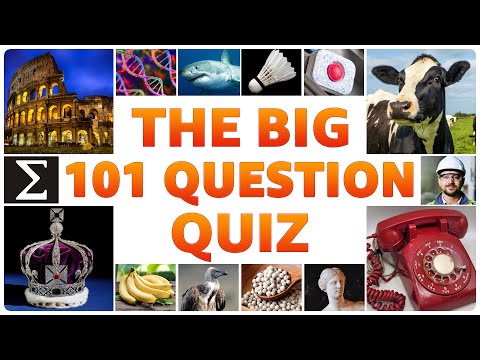 Видео: Вам понравится этот тест — 101 вопрос для каждого!