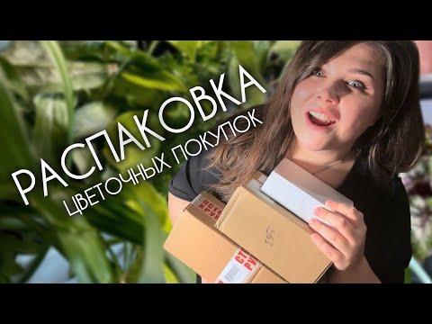 Видео: Товары для ЦВЕТОВ | РАСПАКОВКА | Новинки и ЛЮБИМЫЕ средства