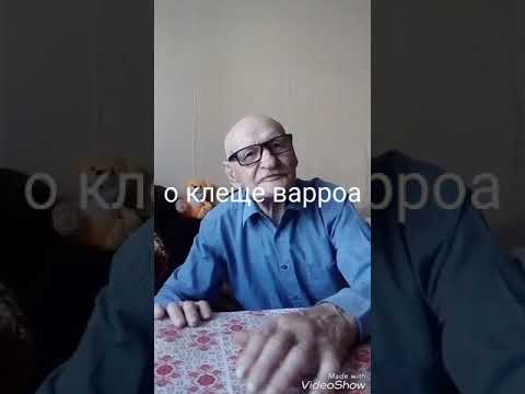 Видео: Как на 100 % победить клеща варроа . Рассказывает старейший пчеловод с 65 летним стажем